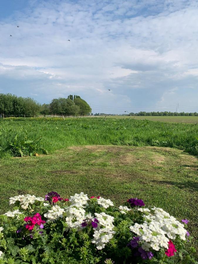 לינה וארוחת בוקר Zwaanshoek Fields 1216 מראה חיצוני תמונה
