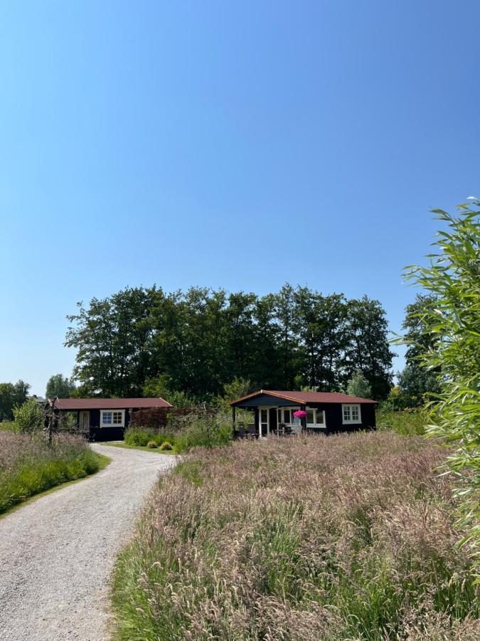 לינה וארוחת בוקר Zwaanshoek Fields 1216 מראה חיצוני תמונה